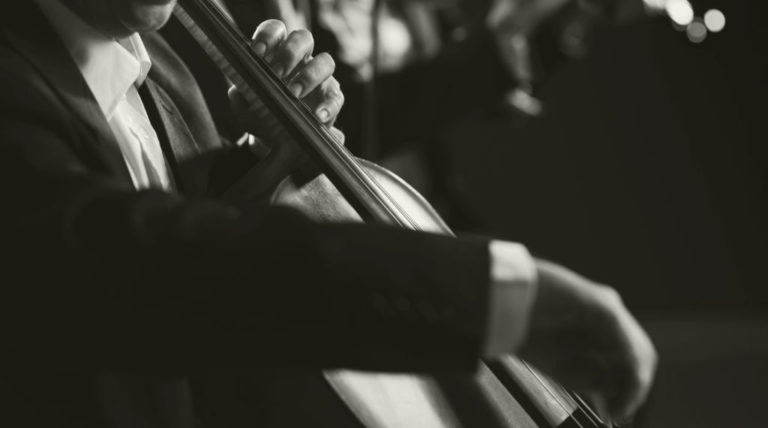 Curso de apreciación musical 2002-2023